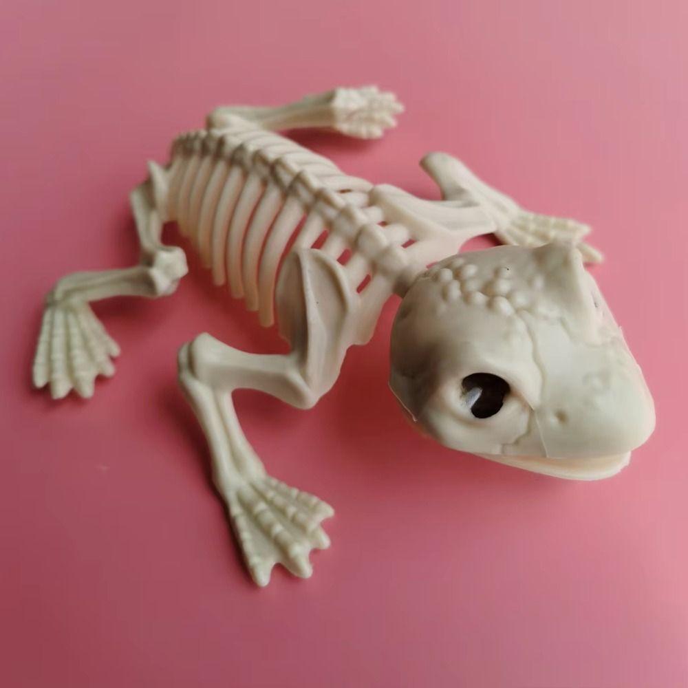 Snake Halloween Bats Skeleton Cat Halloween Animal Skeleton Skeleton Model   Bar Home Decor