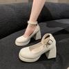 French Small White Thick Heel Mary Jane High Heels Women's Spring Skirt Single Shoes Fashion