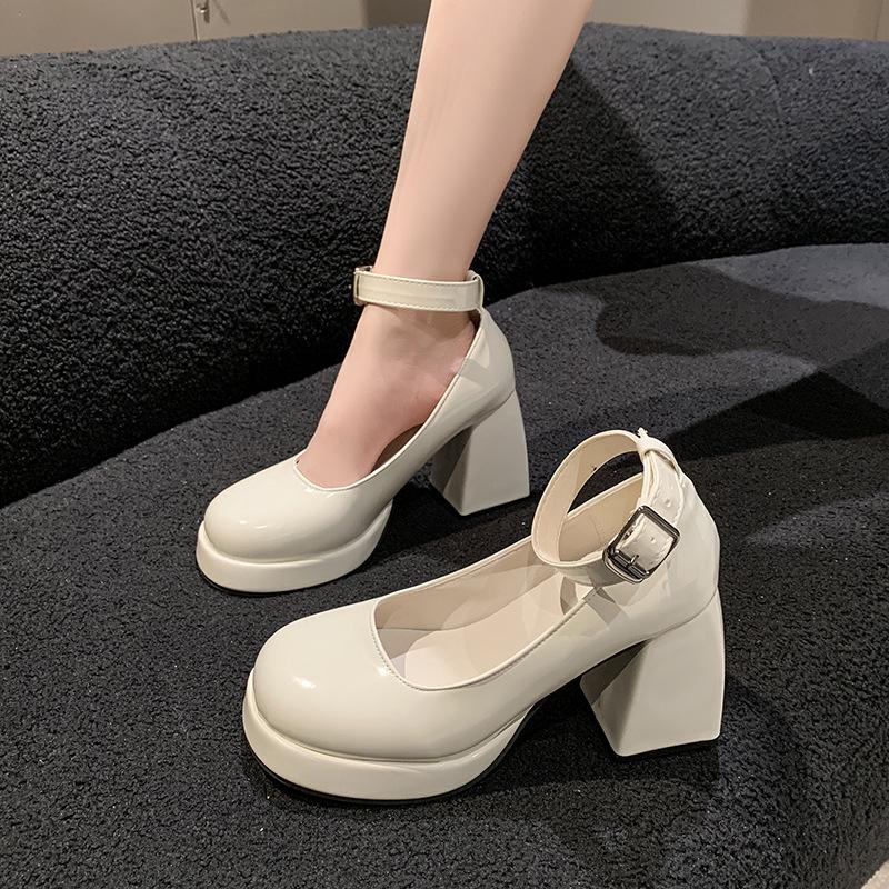 French Small White Thick Heel Mary Jane High Heels Women's Spring Skirt Single Shoes Fashion