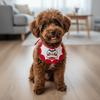 Cartoon Pet Lion Dance Scarf Embroidery Comfortable Dog Drool Bib Lucky Blessing Adjustable New Year Cat Scarf Spring Festival