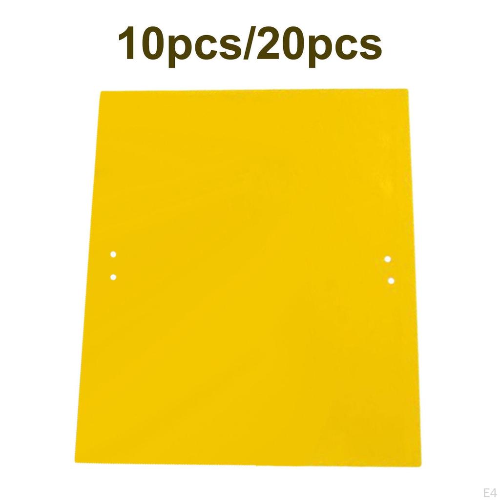 Outdoor Sticky s Fly Catcher Bug Fruit Gnat