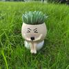 Funny Flower Planter Resin Plant Cultivation Pot Succulent Flowerpot  Succulent Planting