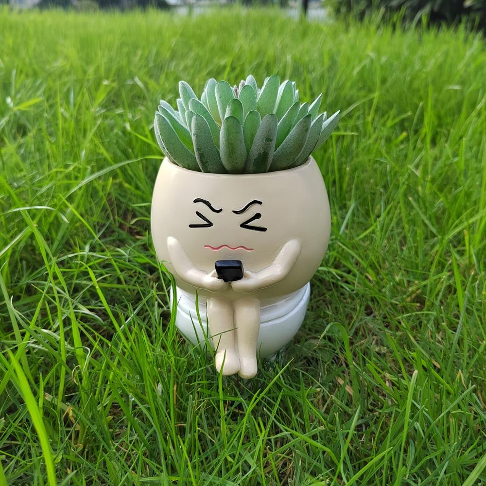 Funny Flower Planter Resin Plant Cultivation Pot Succulent Flowerpot  Succulent Planting