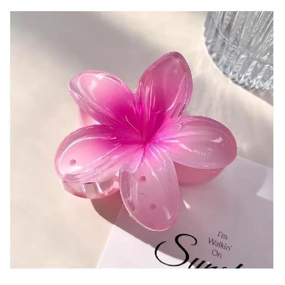 2/4/6 peças Moda Feminina Flor Garras de Cabelo Havaiano Gradiente Grampos de Cabelo Férias Estilo Praia