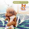 Eco-Friendly Cartoon Kitten Dog Chew Teething Toy Small Pet Birthday Cake Gift Box with Sound Relieving Boredom Plush Toy
