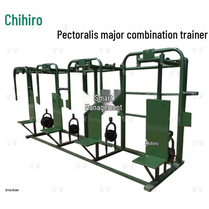 Outdoor Combination Strength Trainer