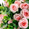 10 Heads Artificial Roses - Home&Wedding Valentine's Day Decoration Eucalyptus Rose Bundle Valentine's and Family Gifts