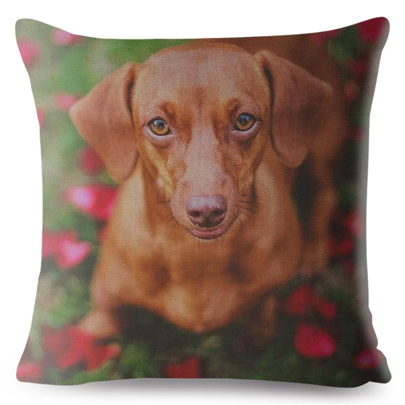 Față de pernă drăguță cu imprimeu câine teckel miniatural, 45*45 pătrată, huse de pernă din in, față de pernă, decor pentru canapea și casă, fețe de pernă