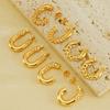 Women's Textured Stainless Steel Hoop Earrings Light Luxury High-End Non-Fading Vacuum Plated Jewelry Accessory