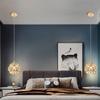 Ceiling Light Modern Chandelier For Bedroom Living Room Dining Room Indoor Lamp Corridor Home Balcony