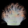 Glass Aquariums Ornament Noctilucent SeaAnemone Fishtanks Glowing Landscapes