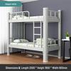 Wrought Iron Bunk Bed for Dormitories and Student Apartments