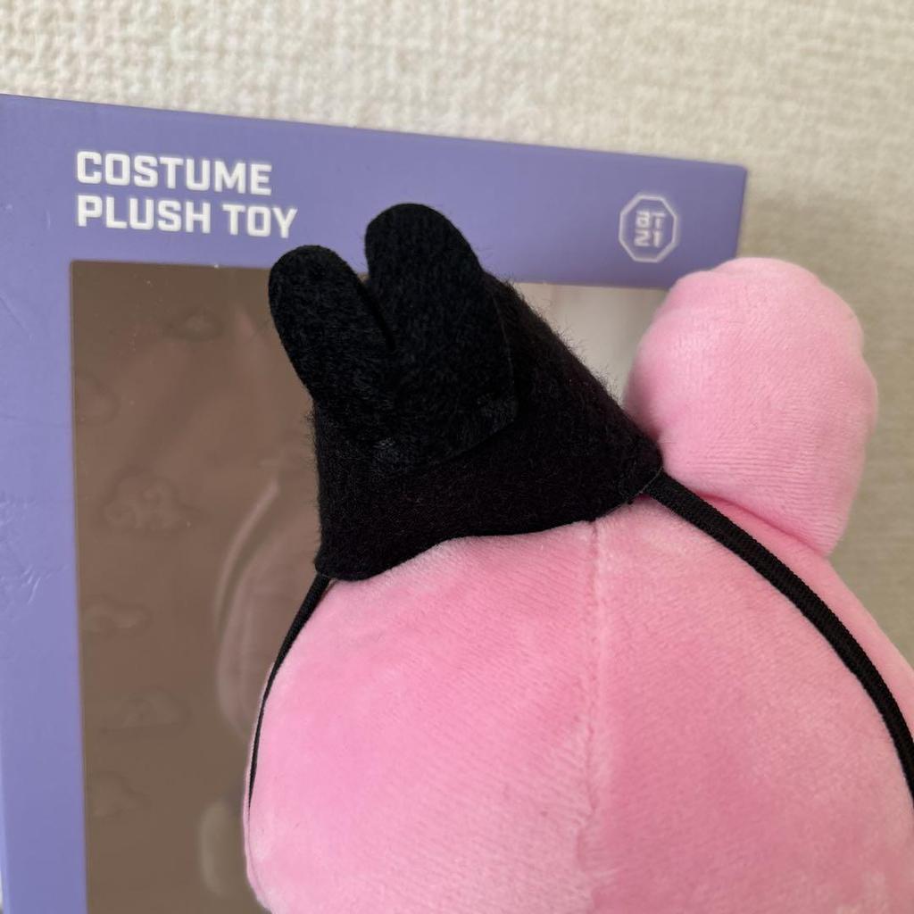 [USED] BT21 cookie Hanbok COSTUME PLUSH TOY