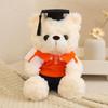 Cartoon Bachelor Bear Plush Toy with Doctorial Hat Sitting Bear Plush Toys  Birthday Graduate Gifts
