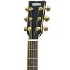 YAMAHA Akustikgitarre LL6 ARE BL