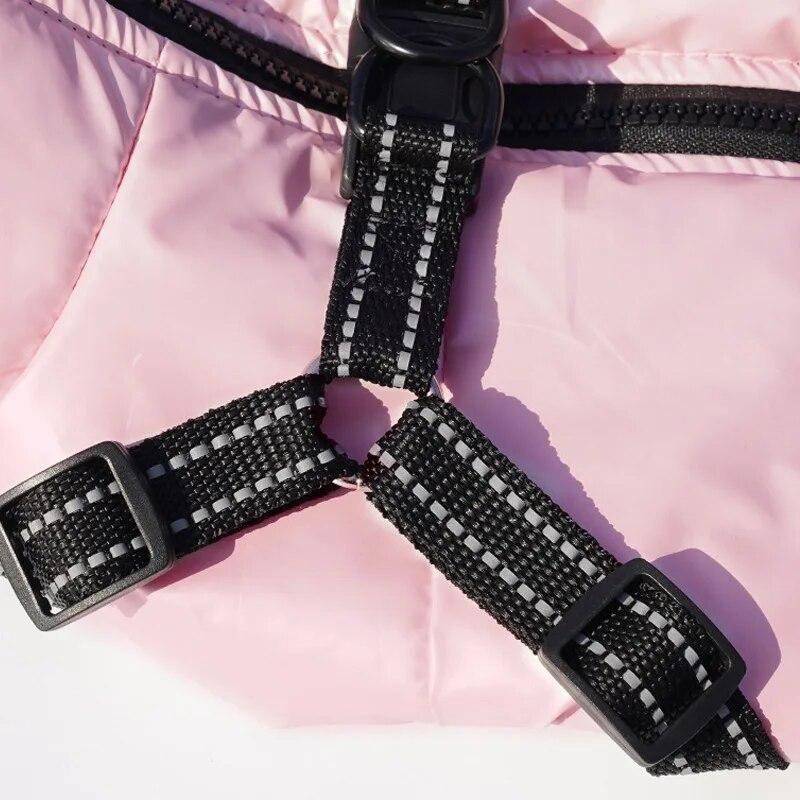 Pet Dog Jacket with Harness Waterproof Cotton Dog Coat for Small Medium Dogs Warm Thicken Windproof Dog Clothes French Bulldog Chihuahua Costume