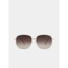 VE2094/BR  Sun-blocking Sunglasses