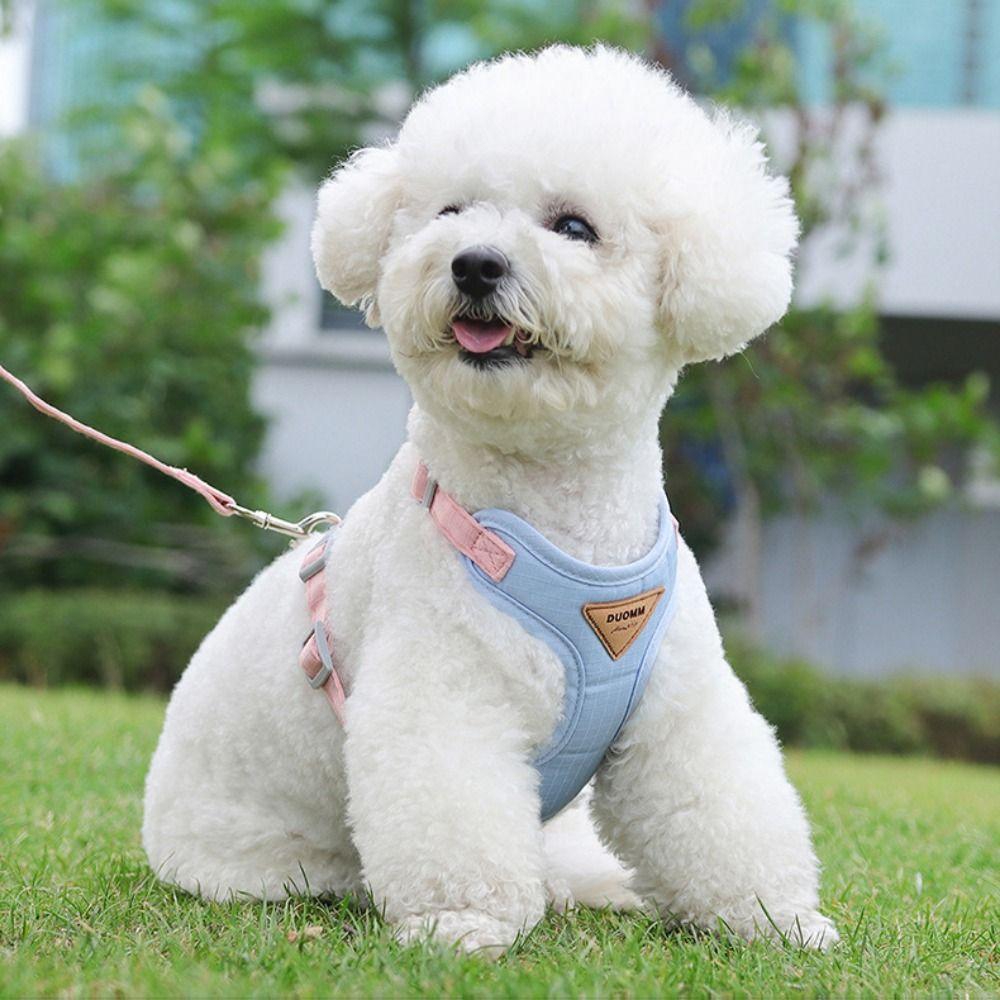 

Soft Dog Harness and Leash Set Mesh Dog Harness with Traction Leash for Cats Dogs L зелений
