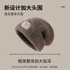 Hat Women's Patch Simple Design Trend Thickened Wool Hat 2025 Winter New Ear Protector Knitted Hat