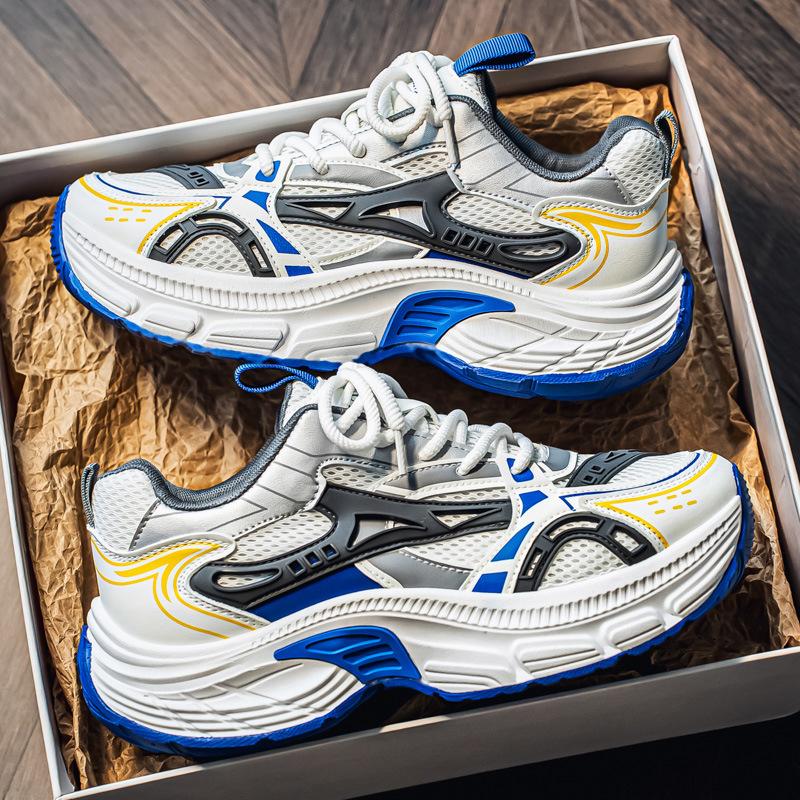 Ins Dad Shoes Mesh Breathable Sneakers High-soled Casual Running Men's Shoes Platform Rocking Shoes Men's