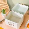 Small Rectangular Metal Storage Box Space Saving Desktop Organizer Countertop