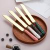 Yousheng Butter Knife And Spatula Set with Ceramic Handle Stainless Steel Baking Turner for Butter Pizza Pastry Non-Stick Cake Cutter And Butter