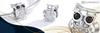 Owl Charm Pendant 925 Owl Bird Bead Charms Zirconia