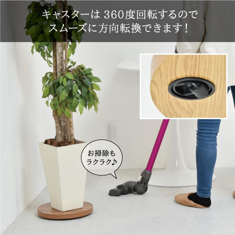 Suport pentru flori Belca cu rotile Diametru 30 x Înălțime 3,5 cm Maro deschis Suport rotund pentru ghiveci Capacitate de încărcare 25 kg Mobil BB-PB-LBR