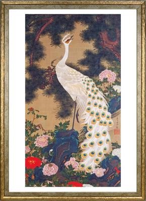 Ito Jakuchu (Old Pine Tree and Peacock) Poster, A3 Size, Interior Wallpaper, Painting, Art Poster, Gold Frame
