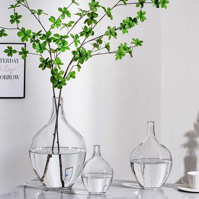 Transparent Glass Hydroponic Vase for Flower Arrangement - Japanese Bellflower & Andromeda