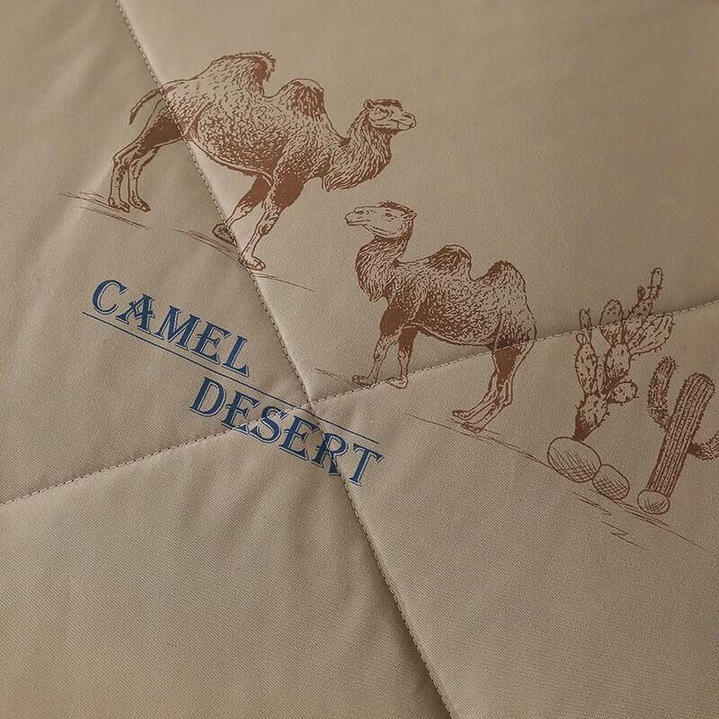 Burenshu Classic Warm Blended Silk Quilt