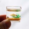 Scene Model Miniature Fish Bowl Miniature Fish Tank Dollhouse Miniature Glass Fish Tank Model