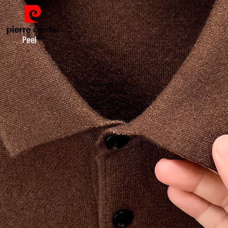 Pierre Cardin Men's 100% Wool Polo Sweater