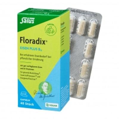 Floradix Iron + B12 40 Capsules