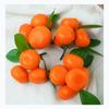 And Leaves Fruit Display Imitation Fruits Artificial Fruit Party Decor Fake Oranges Tangerine Model
