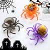 Spider Skull Candy Dish: Halloween Decor Spider Bowl