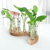 Creative Simplicity Solid Wood Row of Test Tube Vases Wooden Stand Hydroponic Vase Transparent Test Tube Shape for Home Decor