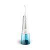 Портативный ирригатор полости рта Danmi Clean Pick 300 мл DA-CLS03Y 2 типа, выберите 1 (черно-белый)