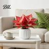 Living Room Plant Pot Self Watering Pots for Indoor Plants, Plastic Planter with Drainage Modern Home Decor Holes, Small Flower Houseplants,