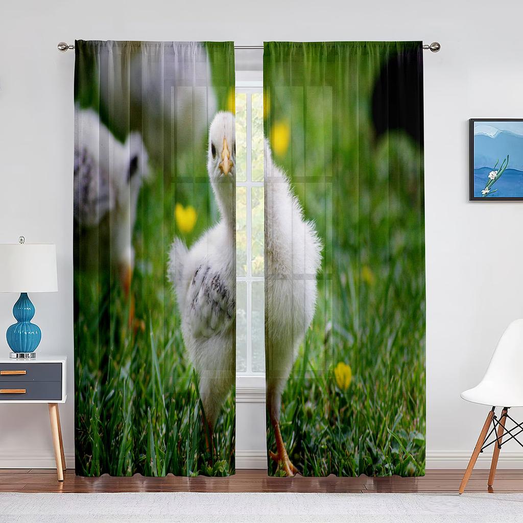 Cute Chick On The Grass Chiffon Sheer Curtains for Living Room Bedroom Home Decoration Animal Transparent Voiles Tulle Curtain