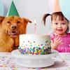 Anti-skid Revolving Cake Turntable Round Cake Stand Rotating Plastic Cake Rotary Table  Cream