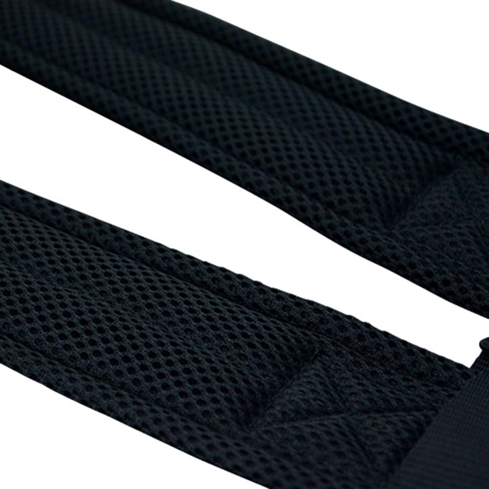 Fujiya Suspenders, Size L, Black and Gold, Total Length 105-123cm (ASP-LBG)