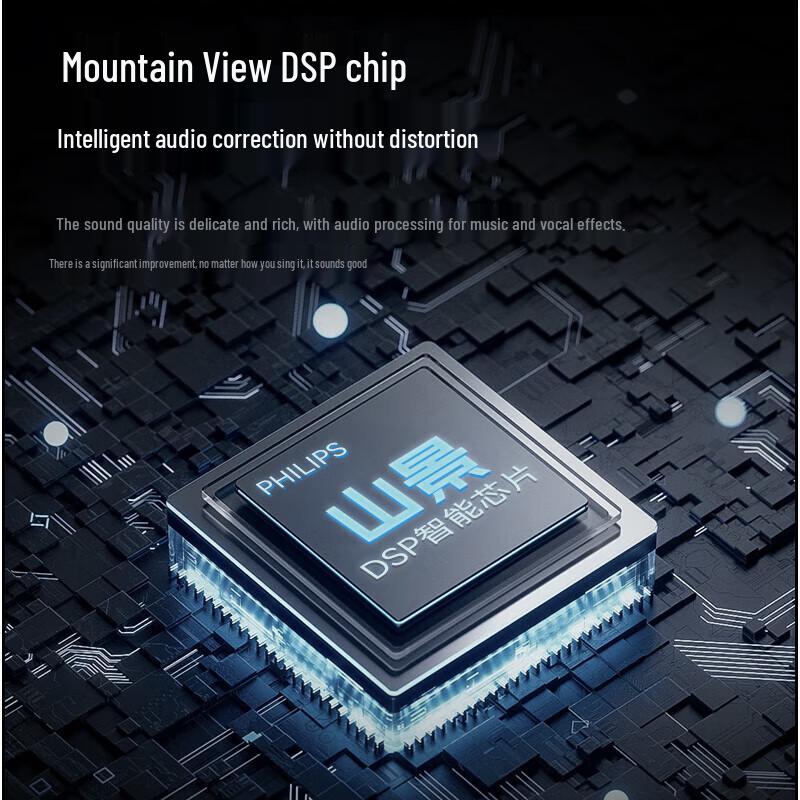 Philips S5819 Wireless Portable KTV Microphone Speaker