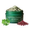 AXIS - Y - Mugwort Pore Clarifying Wash Off Pack