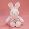 Plush Rabbit Toy With Dress And Bow Decoration For Girls