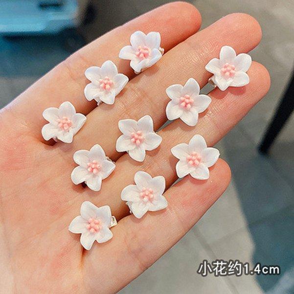 10pcs/Lot Small Flower Hair Claw Hair Accessories for Girls Sweet Hairpin Hair Braided Buckle Clips Hair Styling Accessories