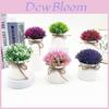 Plastic Veronicastrum Caulopterum Flower Pot With Rope Butterfly Tie For Home Decor And Garden Display