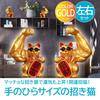 ENN LLC Lucky Cat Palm For Wishing for Financial Opening Housewarming Present Set Lucky Cat Left Hand Lucky Figurine, Size, Luck, Celebration, Gift,