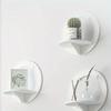1pc Multifunction Punch-free Home Wall Mounted Shelf,Plants&Photos Hanging Storage Rack for Home Display,  Bedside&Bathroom Hanging Storage Shelf.