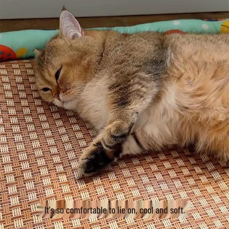 Rotango katės lovelė su vėsinančiu vasaros kilimėliu - Universalus dizainas keturiems metų laikams